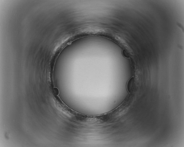X0000101670399200807101054