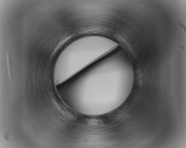 X0000101670400200807101054