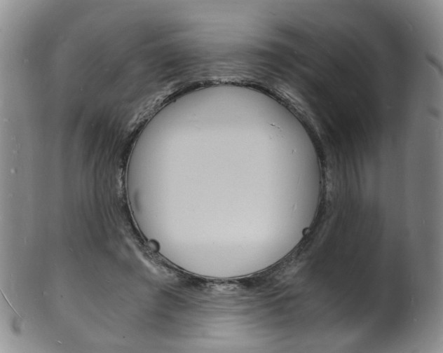 X0000101670401200807101054