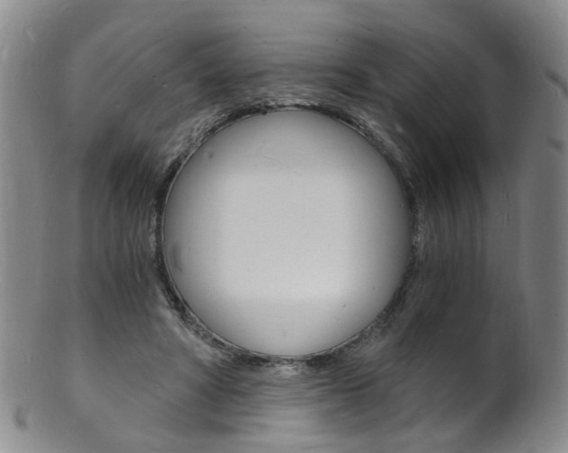 X0000101670402200807101054