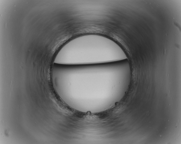X0000101670403200807101054