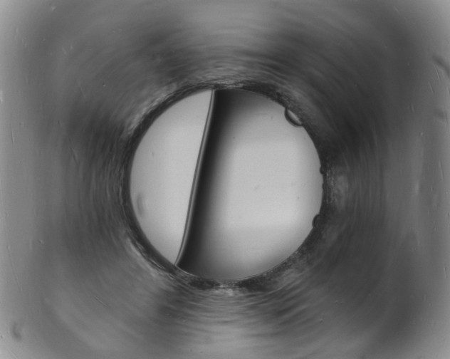 X0000101670404200807101054
