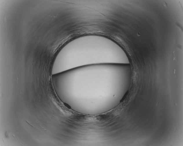 X0000101670405200807101054