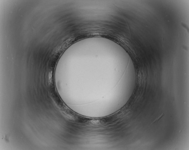 X0000101670406200807101054