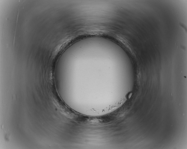 X0000101670407200807101054