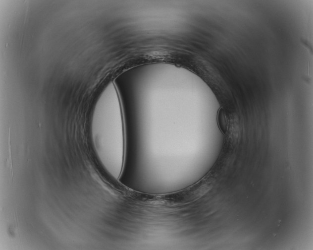 X0000101670408200807101054
