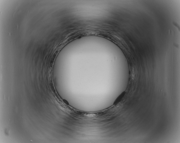 X0000101670409200807101054