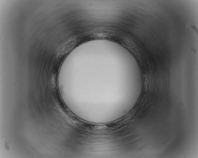 X0000101670410200807101054