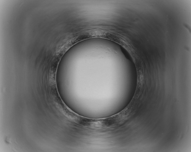 X0000101670411200807101054