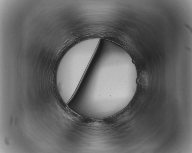 X0000101670412200807101054