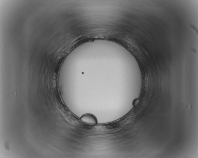 X0000101670413200807101054