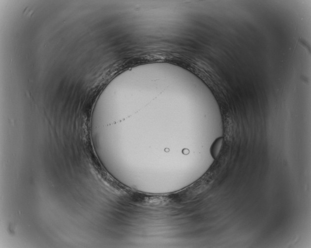 X0000101670414200807101054