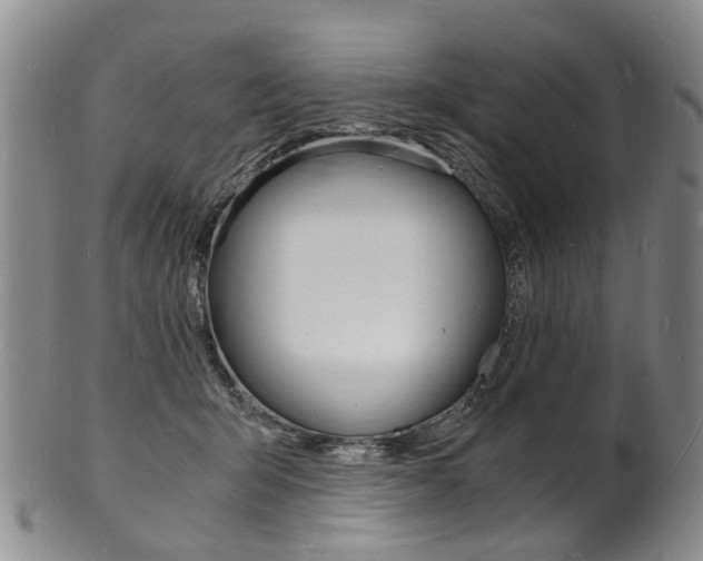 X0000101670415200807101054