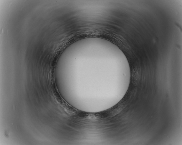 X0000101670416200807101054