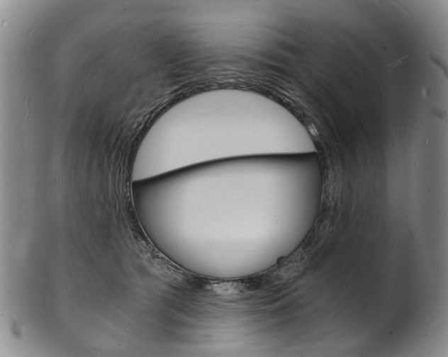 X0000101670417200807101054