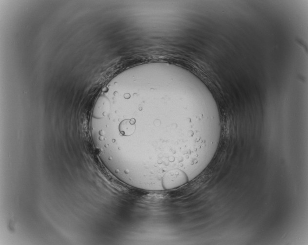 X0000101670418200807101054