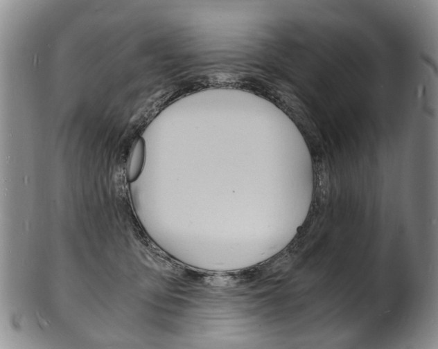 X0000101670419200807101054