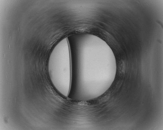 X0000101670420200807101053