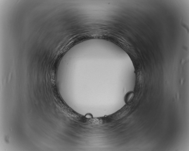 X0000101670421200807101053