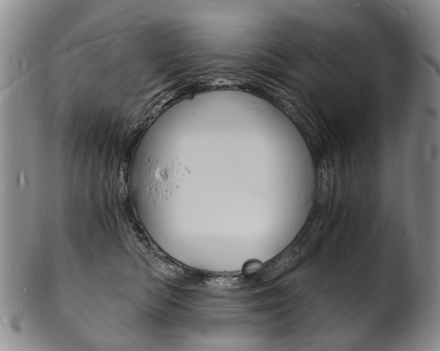 X0000101670422200807101053