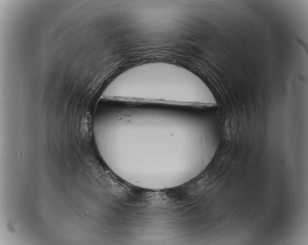 X0000101670424200807101053