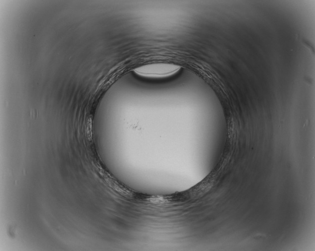 X0000101670425200807101053