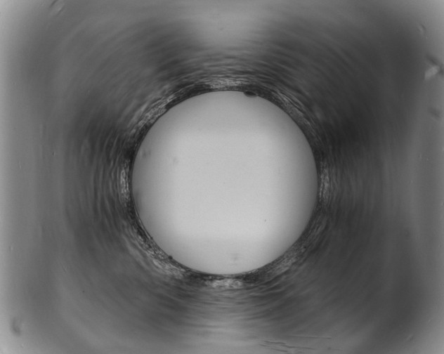 X0000101670426200807101053