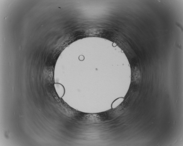 X0000101670427200807101053