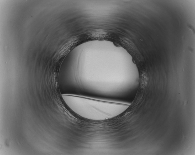 X0000101670428200807101053