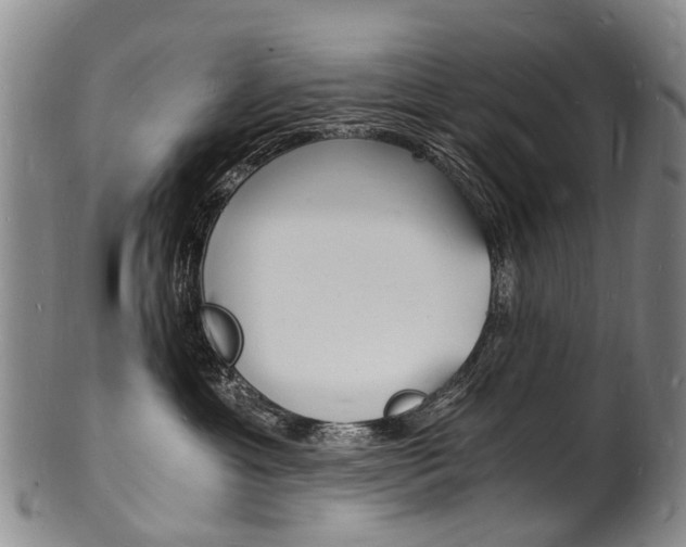 X0000101670429200807101053
