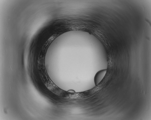 X0000101670430200807101053