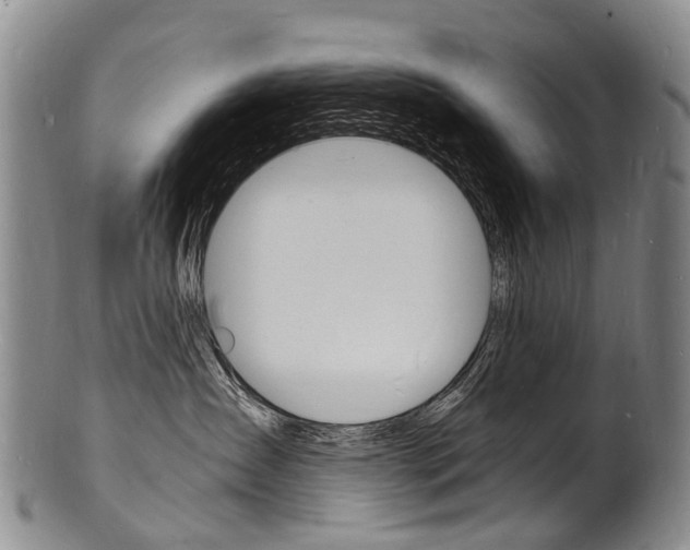 X0000101670431200807101053