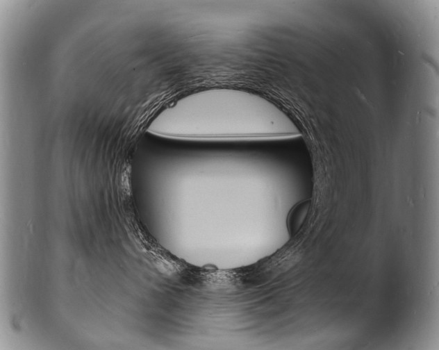 X0000101670432200807101053