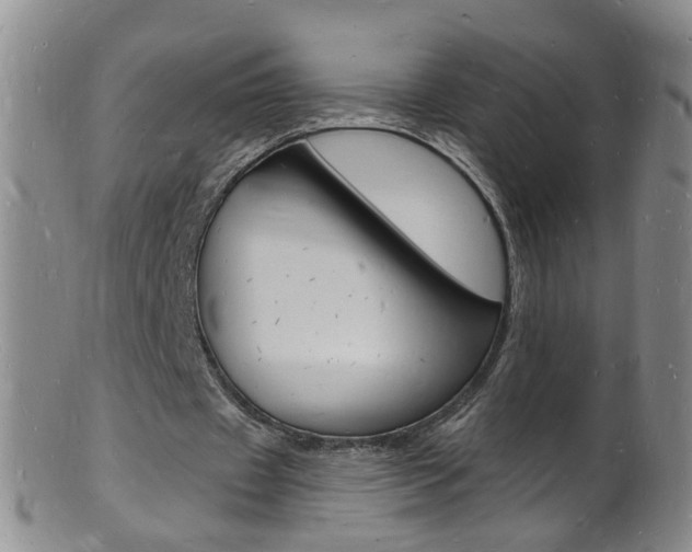 X0000101670433200807101053