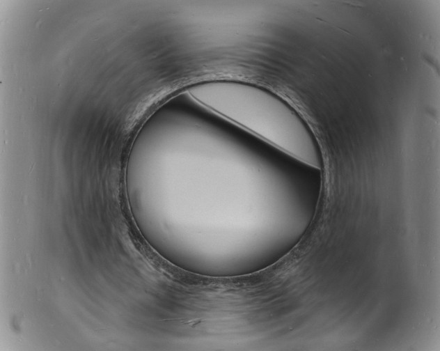 X0000101670434200807101053