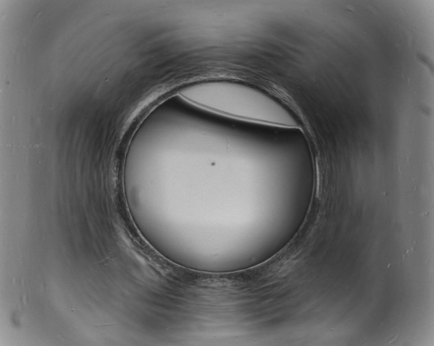 X0000101670435200807101053