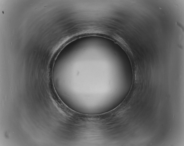 X0000101670436200807101053