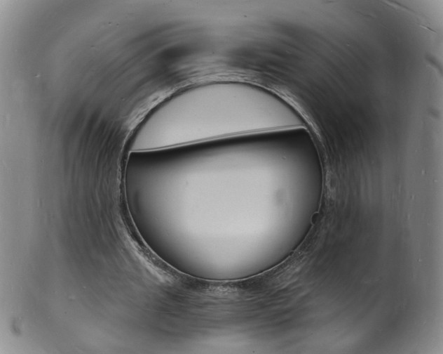 X0000101670437200807101053