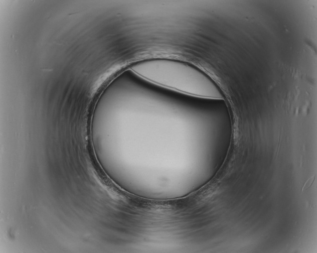 X0000101670438200807101053