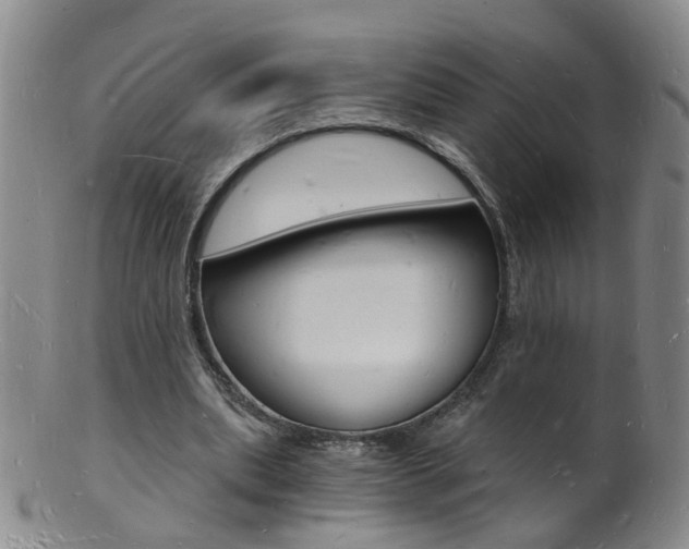X0000101670439200807101053