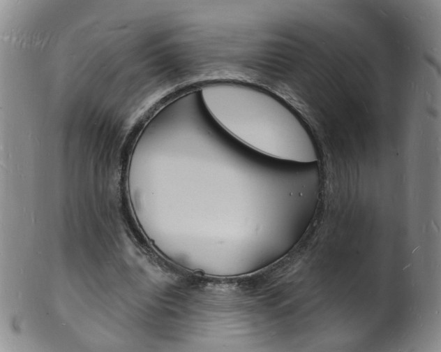 X0000101670440200807101053