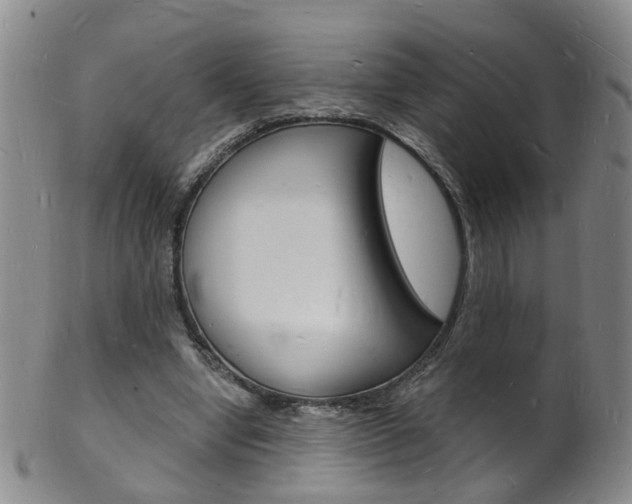 X0000101670442200807101053