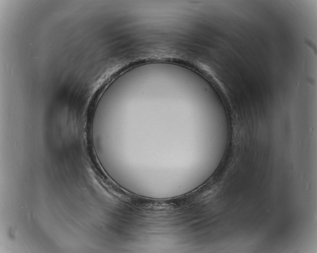 X0000101670443200807101053