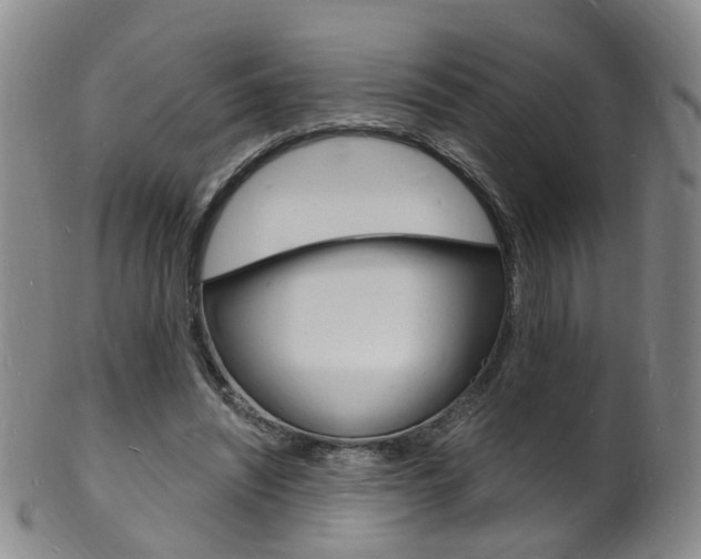 X0000101670444200807101053