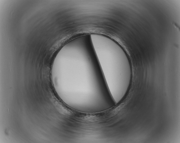 X0000101670445200807101053