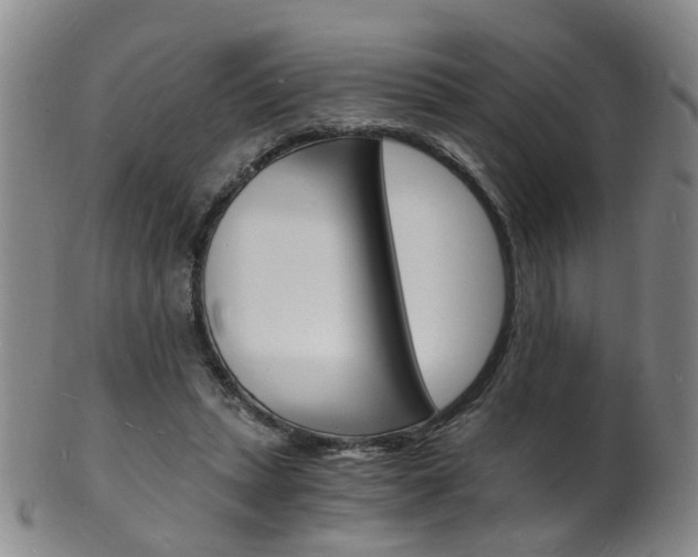 X0000101670447200807101053