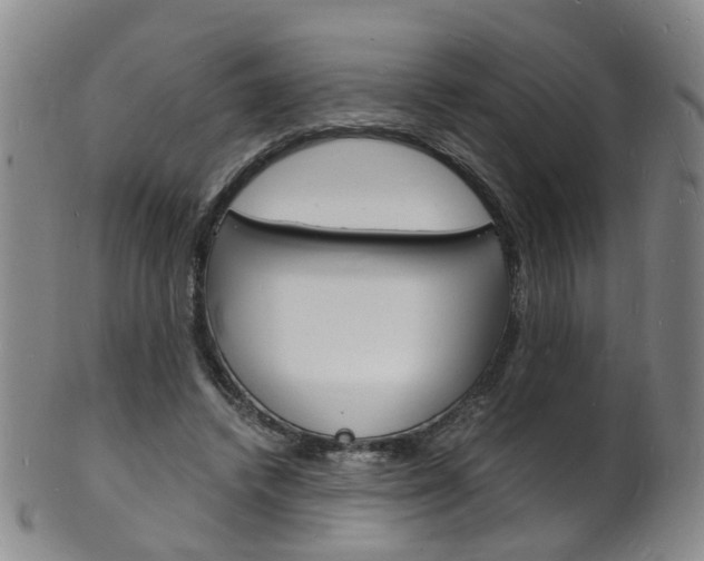 X0000101670448200807101053