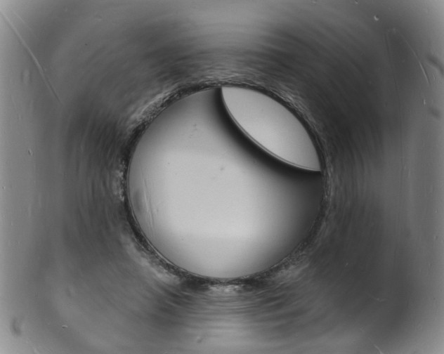 X0000101670450200807101053