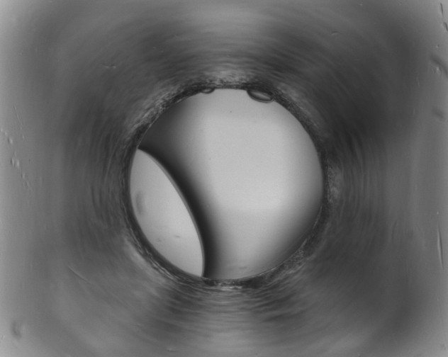 X0000101670451200807101053