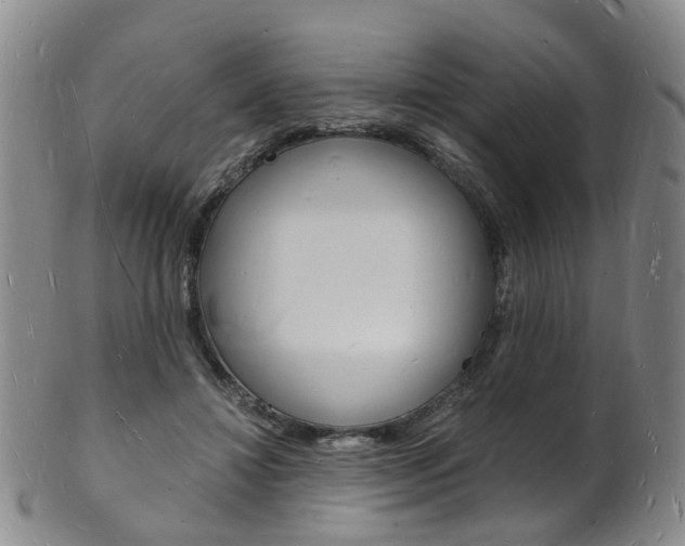 X0000101670452200807101053
